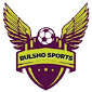 Bulsho Sports APK icon